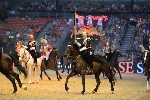 Cavalry - 00123